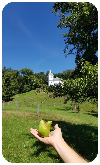 hruska_jurko