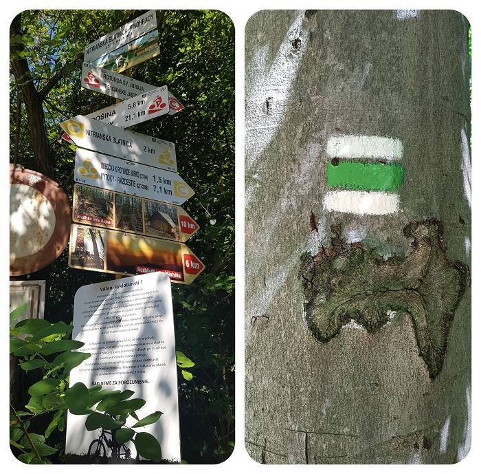 zelena_znacka