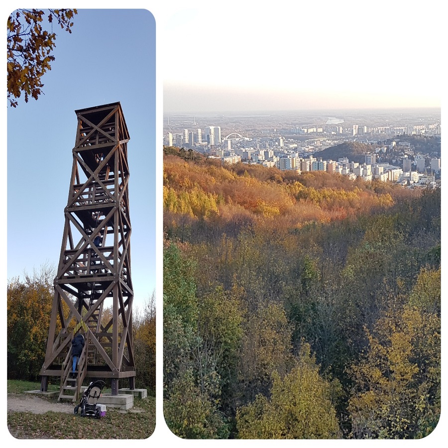 rozhladna_krajina