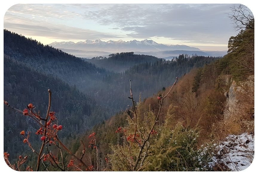 tatry
