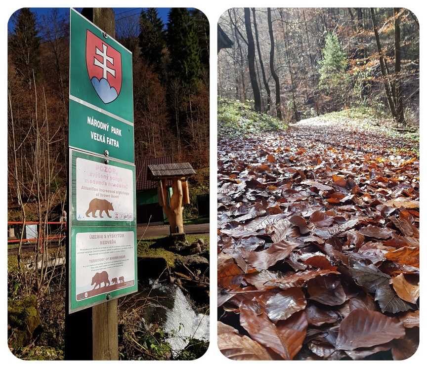 jesen_Velka_Fatra