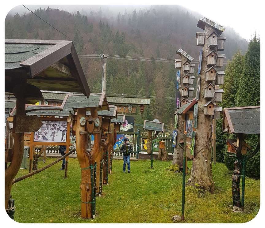 krmitka_pre_vtaky