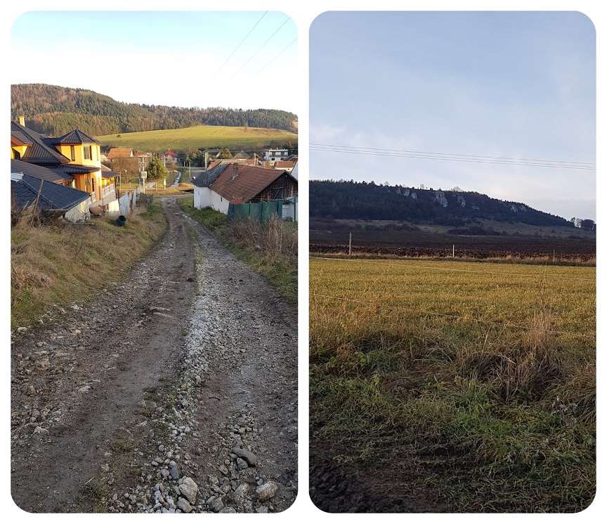 cesta_k_dreveniku