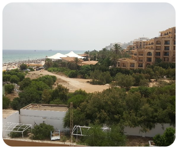 zelen_sousse