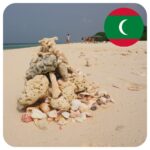maldivy_musle