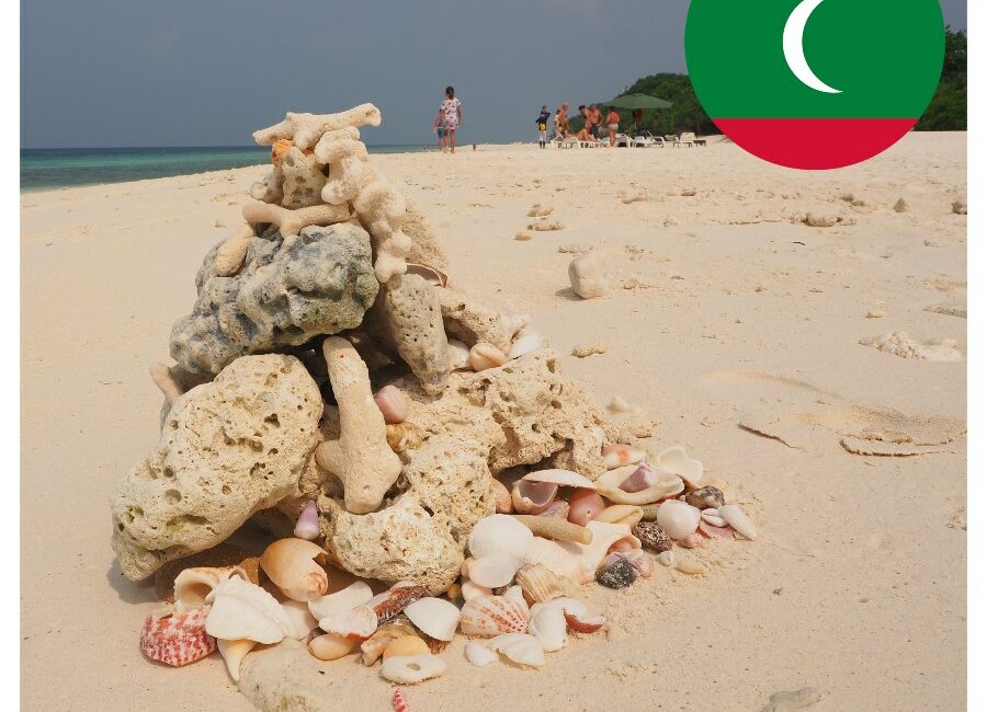 maldivy_musle