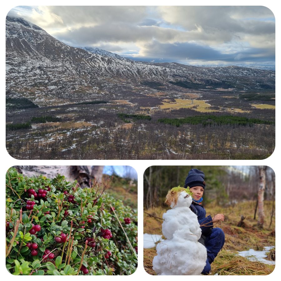 vyhlad_snehuliak