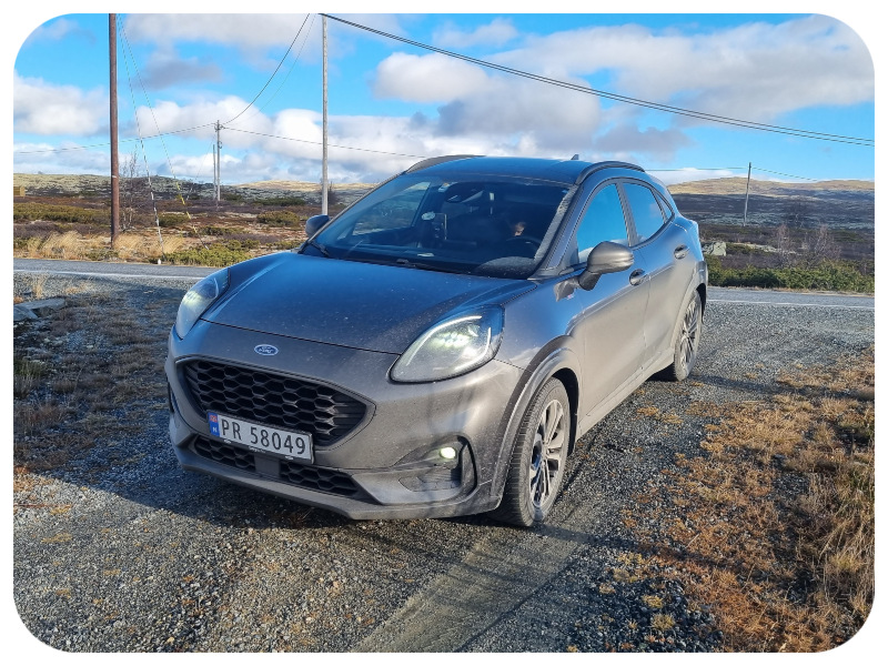 puma_ford