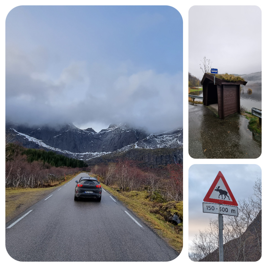 cesta_los_autobus_zastavka