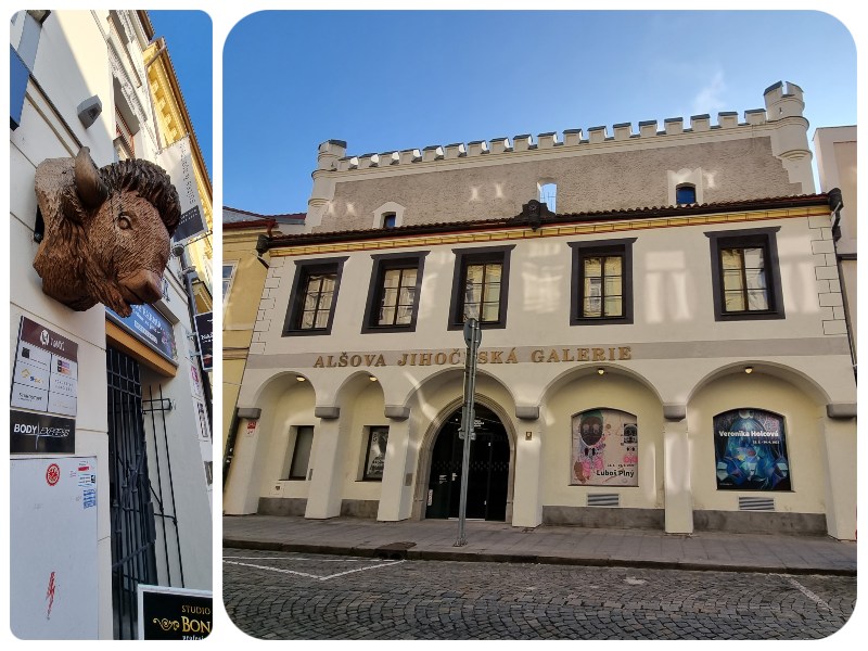 ceske_budejovice_wortneruv dom_býk