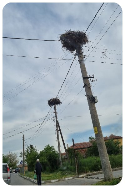bulharsko_bocian_hniezdo hniezdo_bocian