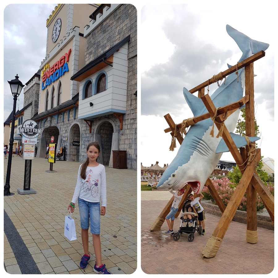 vstup_zralok