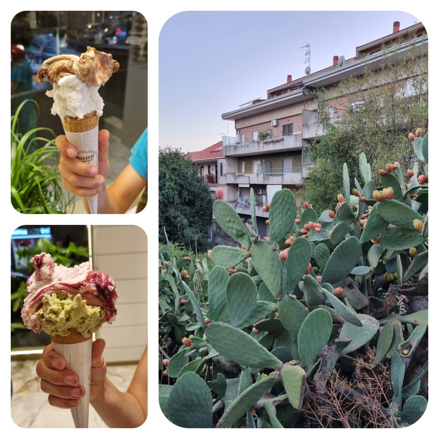 zmrzlina_opuncie