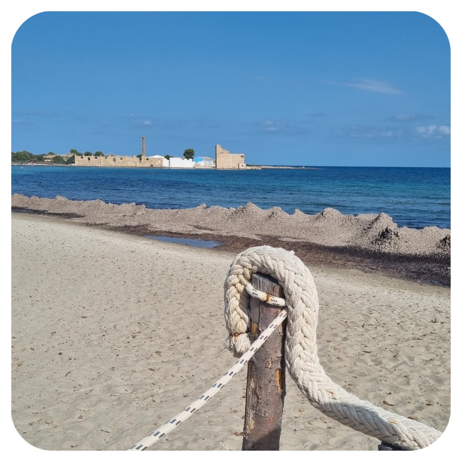 plaz_more