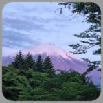 fuji